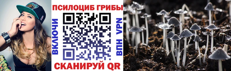 Купить где  Николаевск-на-Амуре  Псилоцибиновые грибы прущие грибы 